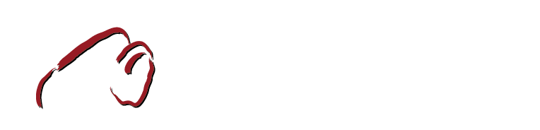 Montana Bison Fashion & Yarns